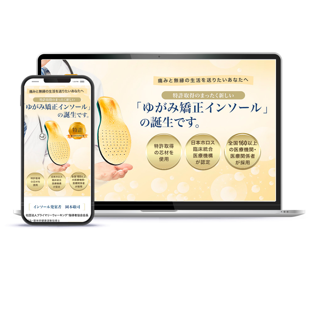 高級インソールのLP